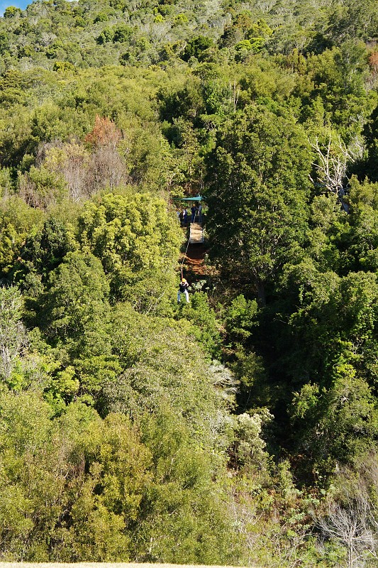 2009-11-06 22-04-57_2.jpg - Am "flying fox" bei O'Reillys